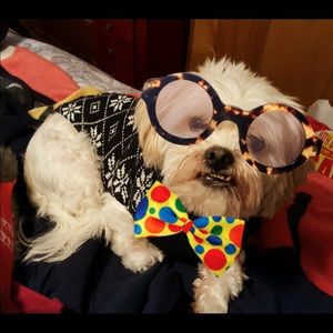 Meet your Posher, Jean